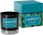 Świeca zapachowa AMBIENT Tropical Island – egzotyczna podróż w zapachu cytrusów i owoców tropikalnych