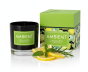 Świeca zapachowa AMBIENT Citrus & Herbs – cytrusowa świeżość i aromat ziół w eleganckim wydaniu