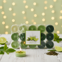 Podgrzewacze zapachowe ZIELONA HERBATA GREENTEA – 30 tealightów o świeżym aromacie natury