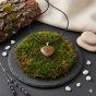 TALISMAN – jaspisowe serce – ujęcie plenerowe