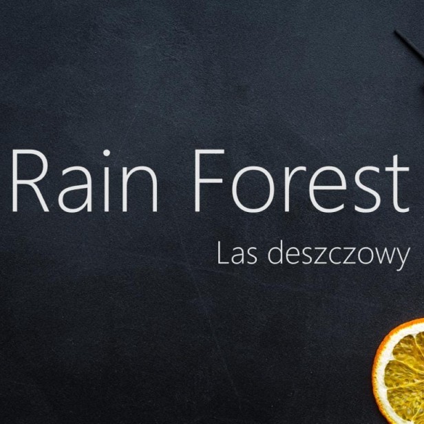 Kadzidło Indyjskie patyczki - Las deszczowy