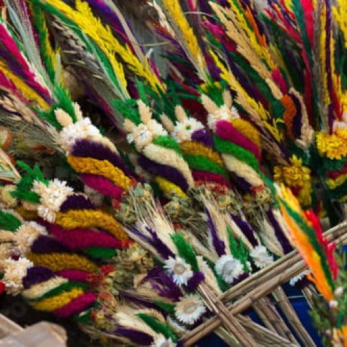 Palma Wielkanocna XL 60 cm – Naturalny Susz z Łąk Lubelszczyzny