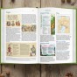 spojrzenie wewnątrz - Pismo Święte dla młodych – Biblia Tysiąclecia „z papugą” | Biblia dla dzieci i młodzieży
