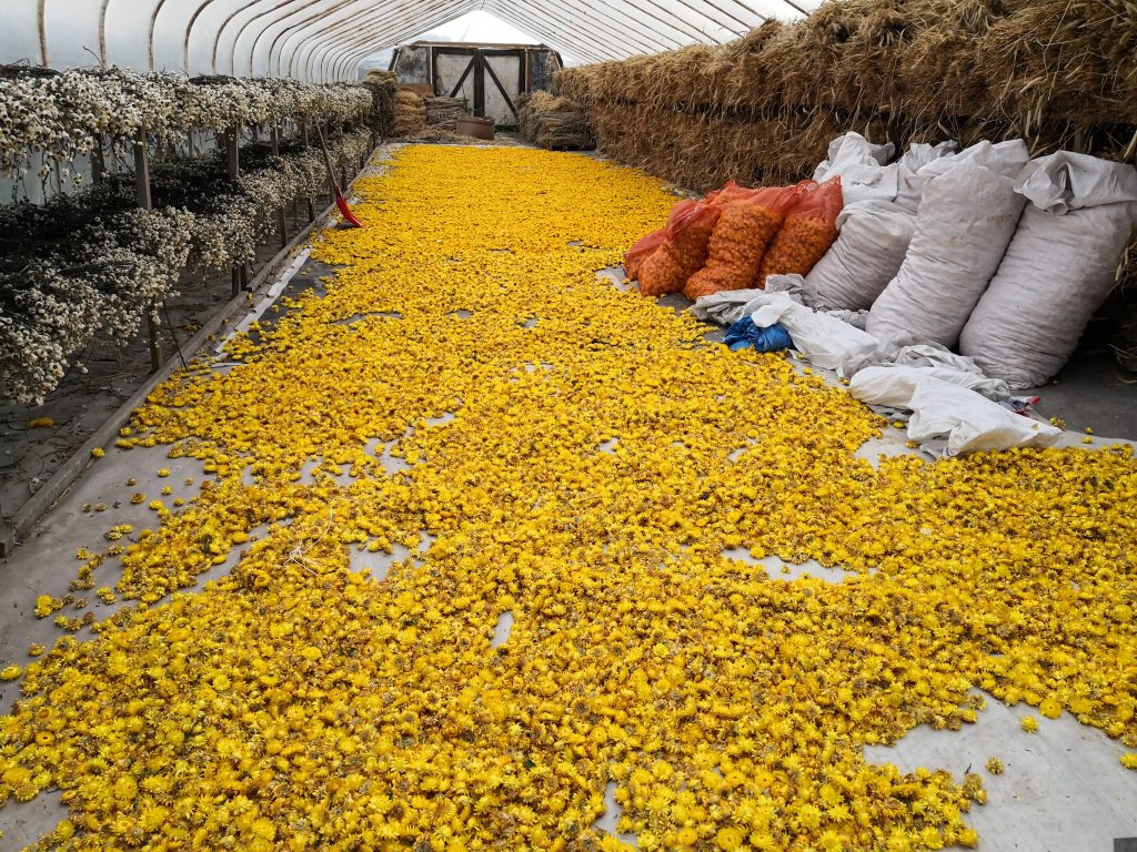 Palma wielkanocna z naturalnego suszu – proces tworzenia